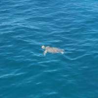 Great day of scuba diving in Key Largo with Rainbow Reef on molasses reef tropical adventure 2015 05 07 r1473 1