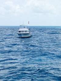 Great day of scuba diving in Key Largo with Rainbow Reef on molasses reef tropical adventure 2015 05 28 r1553 1