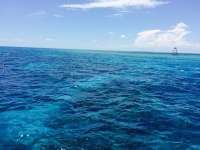 Great day of scuba diving in Key Largo with Rainbow Reef on molasses reef tropical adventure 2015 05 30 r1565 1