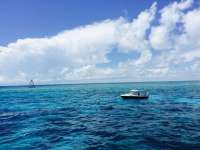 Great day of scuba diving in Key Largo with Rainbow Reef on molasses reef tropical adventure 2015 05 31 r1568 1