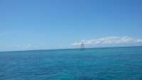 Great day of scuba diving in Key Largo with Rainbow Reef on molasses reef tropical odyssey 2015 05 07 r1474 1