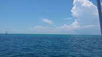 Great day of scuba diving in Key Largo with Rainbow Reef on molasses reef tropical odyssey 2015 05 21 r1526 1