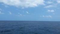 Great day of scuba diving in Key Largo with Rainbow Reef on permit ledges tropical odyssey 2015 05 27 r1550 1