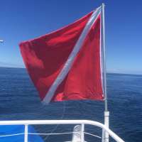 Great day of scuba diving in Key Largo with Rainbow Reef on spiegel grove tropical adventure 2015 05 21 r1524 1