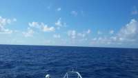 Great day of scuba diving in Key Largo with Rainbow Reef on spiegel grove tropical adventure 2015 05 23 r1532 1