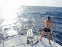 Great day of scuba diving in Key Largo with Rainbow Reef on spiegel grove tropical adventure 2015 05 25 r1542 1