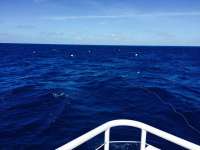 Great day of scuba diving in Key Largo with Rainbow Reef on spiegel grove tropical adventure 2015 05 26 r1545 1