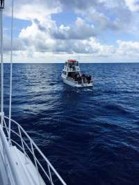 Great day of scuba diving in Key Largo with Rainbow Reef on spiegel grove tropical adventure 2015 05 31 r1567 1