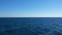 Great day of scuba diving in Key Largo with Rainbow Reef on uscgc duane tropical adventure 2015 05 08 r1475 1