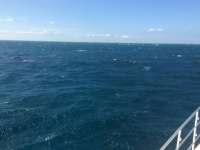 Great day of scuba diving in Key Largo with Rainbow Reef on benwood wreck tropical odyssey 2015 11 23 r2312 1