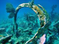 Great day of scuba diving in Key Largo with Rainbow Reef on city of washington tropical odyssey 2015 11 10 r2269 3