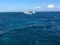 Great day of scuba diving in Key Largo with Rainbow Reef on fire coral cave tropical adventure 2015 11 23 r2311 1