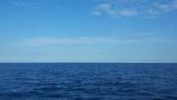 Great day of scuba diving in Key Largo with Rainbow Reef on french reef tropical adventure 2015 11 06 r2241 1