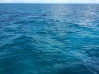 Great day of scuba diving in Key Largo with Rainbow Reef on permit ledges tropical odyssey 2015 11 30 r2322 2