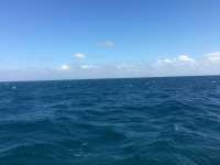 Great day of scuba diving in Key Largo with Rainbow Reef on spanish anchor tropical explorer 2015 11 23 r2310 1