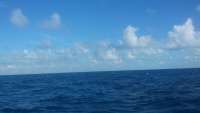 Great day of scuba diving in Key Largo with Rainbow Reef on spiegel grove tropical adventure 2015 11 07 r2245 1