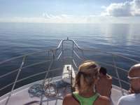 Great day of scuba diving in Key Largo with Rainbow Reef on spiegel grove tropical adventure 2015 11 10 r2265 1