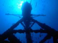 Great day of scuba diving in Key Largo with Rainbow Reef on uscgc duane tropical voyager 2015 11 13 r2285 1