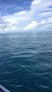 Great day of scuba diving in Key Largo with Rainbow Reef on christ statue tropical adventure 2015 10 12 r2144 1