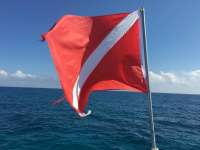 Great day of scuba diving in Key Largo with Rainbow Reef on eagle ray alley tropical adventure 2015 10 29 r2203 1