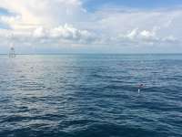 Great day of scuba diving in Key Largo with Rainbow Reef on eagle ray alley tropical voyager 2015 10 09 r2124 1