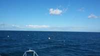 Great day of scuba diving in Key Largo with Rainbow Reef on minnow cave tropical adventure 2015 10 11 r2138 1