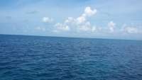 Great day of scuba diving in Key Largo with Rainbow Reef on molasses reef tropical odyssey 2015 10 15 r2157 1