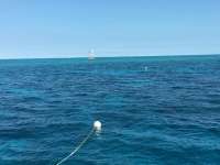 Great day of scuba diving in Key Largo with Rainbow Reef on molasses reef tropical voyager 2015 10 30 r2207 1