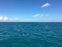 Great day of scuba diving in Key Largo with Rainbow Reef on snapper ledge tropical voyager 2015 10 10 r2130 1