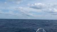 Great day of scuba diving in Key Largo with Rainbow Reef on spiegel grove tropical adventure 2015 10 18 r2167 1
