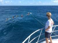 Great day of scuba diving in Key Largo with Rainbow Reef on spiegel grove tropical adventure 2015 10 26 r2193 1