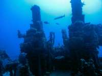 Great day of scuba diving in Key Largo with Rainbow Reef on spiegel grove tropical odyssey 2015 10 31 r2218 3