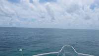 Great day of scuba diving in Key Largo with Rainbow Reef on banana patch tropical adventure 2015 09 10 r1991 1