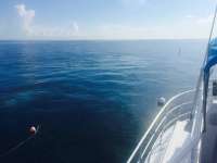 Great day of scuba diving in Key Largo with Rainbow Reef on benwood wreck tropical adventure 2015 09 05 r1967 1