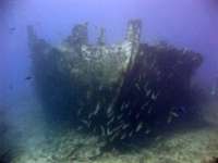 Great day of scuba diving in Key Largo with Rainbow Reef on benwood wreck tropical voyager 2015 09 05 r1972 1