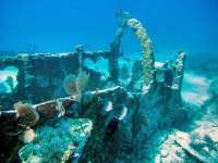 Great day of scuba diving in Key Largo with Rainbow Reef on city of washington tropical odyssey 2015 09 29 r2082 1