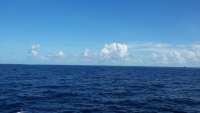 Great day of scuba diving in Key Largo with Rainbow Reef on eagle ray alley tropical odyssey 2015 09 05 r1965 1