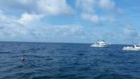 Great day of scuba diving in Key Largo with Rainbow Reef on eagle ray alley tropical odyssey 2015 09 30 r2087 1