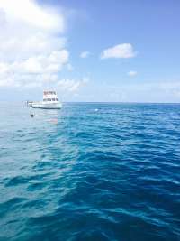 Great day of scuba diving in Key Largo with Rainbow Reef on french reef tropical adventure 2015 09 06 r1978 1
