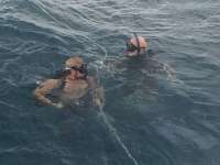 Great day of scuba diving in Key Largo with Rainbow Reef on molasses reef tropical adventure 2015 09 16 r2013 1