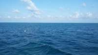 Great day of scuba diving in Key Largo with Rainbow Reef on north star tropical adventure 2015 09 17 r2014 1