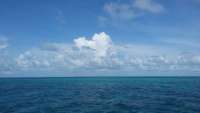Great day of scuba diving in Key Largo with Rainbow Reef on snapper ledge tropical odyssey 2015 09 12 r1996 1