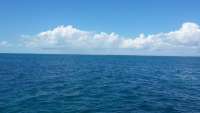 Great day of scuba diving in Key Largo with Rainbow Reef on snapper ledge tropical odyssey 2015 09 20 r2037 1