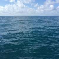 Great day of scuba diving in Key Largo with Rainbow Reef on spiegel grove tropical explorer 2015 09 01 r1957 1