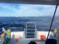 Great day of scuba diving in Key Largo with Rainbow Reef on spiegel grove tropical explorer 2015 09 26 r2062 1