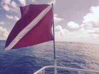 Great day of scuba diving in Key Largo with Rainbow Reef on uscgc duane tropical adventure 2015 09 25 r2057 1