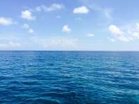 Great day of scuba diving in Key Largo with Rainbow Reef on uscgc duane tropical adventure 2015 09 28 r2077 1
