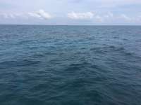 Great day of scuba diving in Key Largo with Rainbow Reef on city of washington tropical legend 2016 04 16 r2725 1