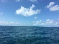 Great day of scuba diving in Key Largo with Rainbow Reef on french reef tropical voyager 2016 04 28 r2756 1