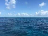 Great day of scuba diving in Key Largo with Rainbow Reef on molasses reef tropical legend 2016 04 28 r2754 1